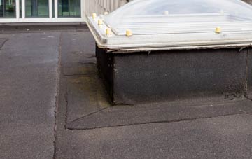 disadvantages of Alderholt flat roofs