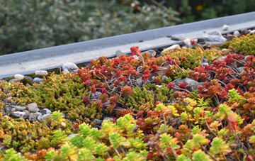 the cost of Alderholt green roof installation