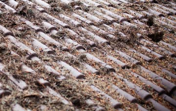 Alderholt roof cleaning companies